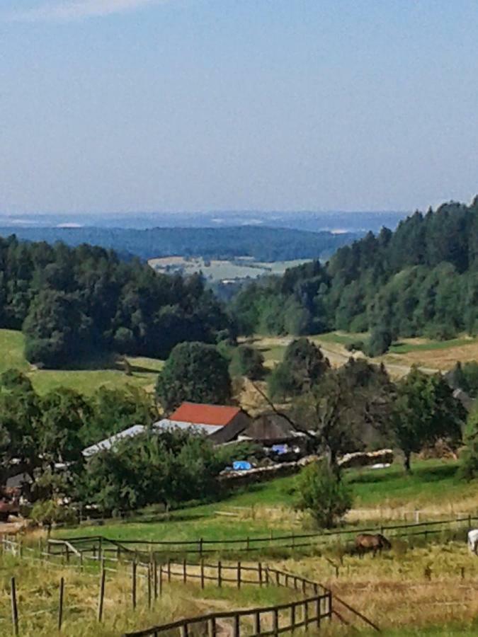 Fewo Am Neckarsteig Neckarsteinach Εξωτερικό φωτογραφία